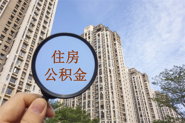 张家界辞职多久公积金可以全部取出来吗（辞职之后公积金多长时间可以取）